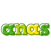 Anas juice logo
