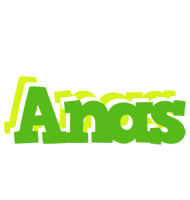 Anas picnic logo