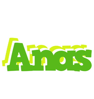 Anas picnic logo