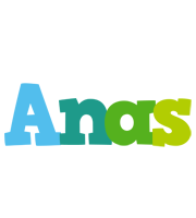 Anas rainbows logo
