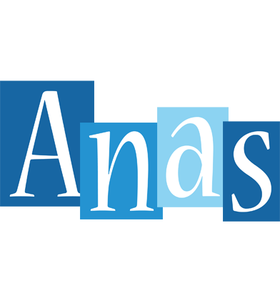 Anas winter logo