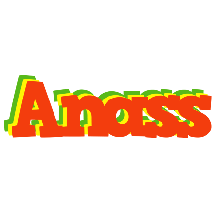 Anass bbq logo