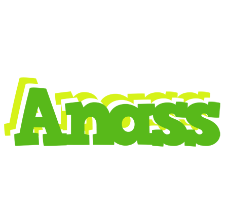 Anass picnic logo