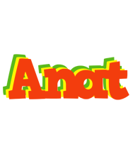 Anat bbq logo