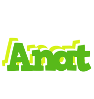 Anat picnic logo