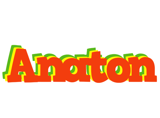 Anaton bbq logo