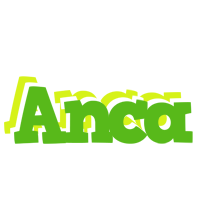 Anca picnic logo