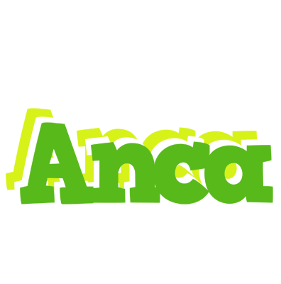 Anca picnic logo