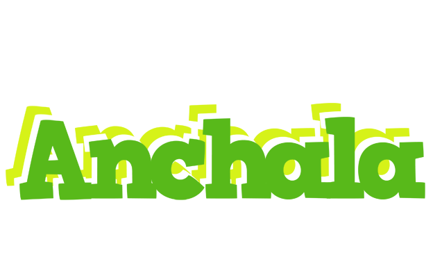 Anchala picnic logo