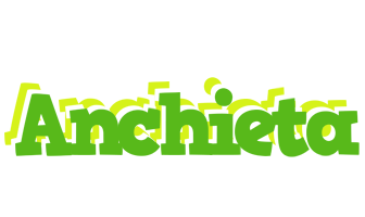 Anchieta picnic logo