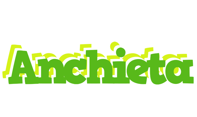 Anchieta picnic logo