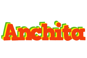 Anchita bbq logo