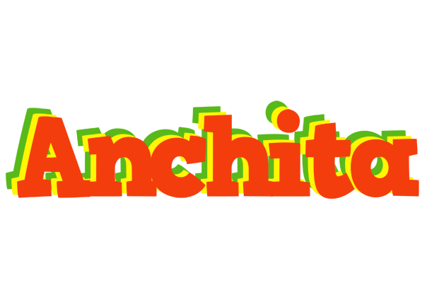Anchita bbq logo