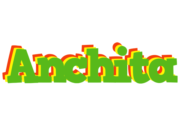 Anchita crocodile logo