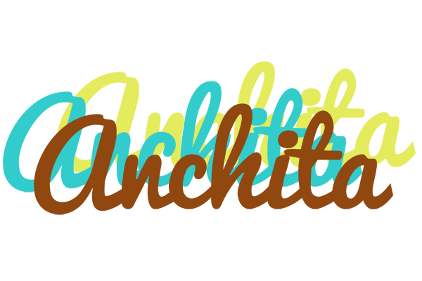 Anchita cupcake logo