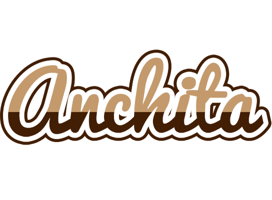 Anchita exclusive logo