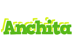 Anchita picnic logo