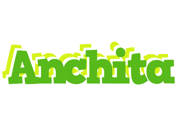 Anchita picnic logo