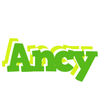 Ancy picnic logo