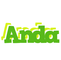 Anda picnic logo