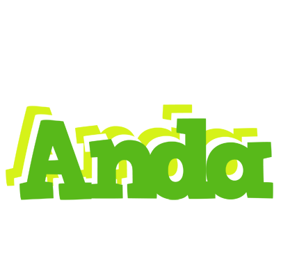 Anda picnic logo