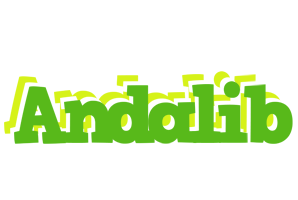 Andalib picnic logo