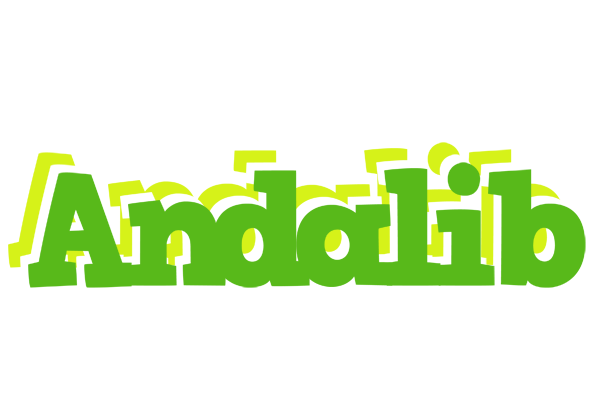 Andalib picnic logo