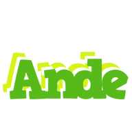 Ande picnic logo