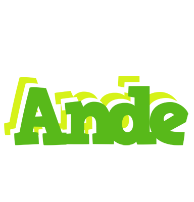 Ande picnic logo