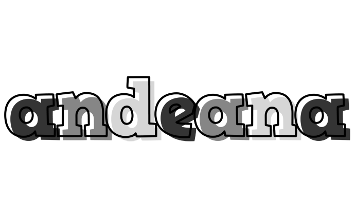 Andeana night logo