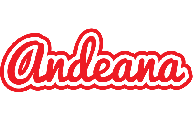 Andeana sunshine logo