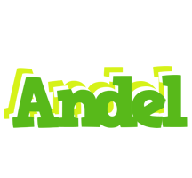 Andel picnic logo