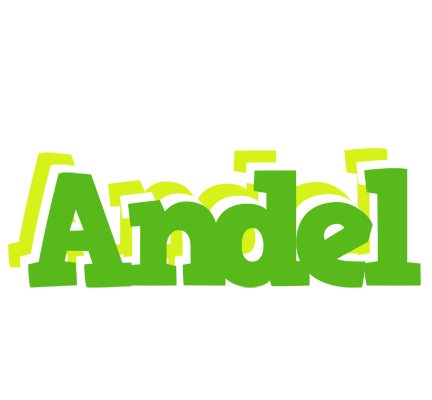 Andel picnic logo