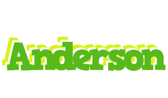 Anderson picnic logo