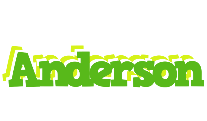 Anderson picnic logo