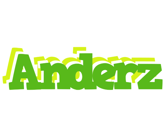 Anderz picnic logo