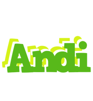 Andi picnic logo