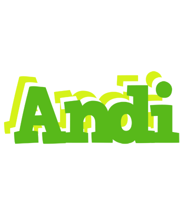 Andi picnic logo