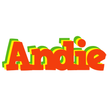 Andie bbq logo