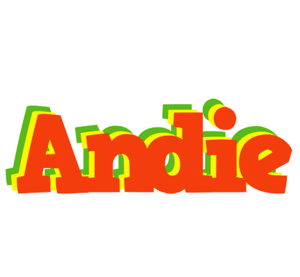 Andie bbq logo