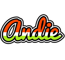 Andie exotic logo