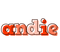 Andie paint logo