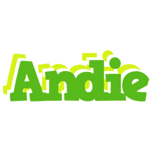 Andie picnic logo