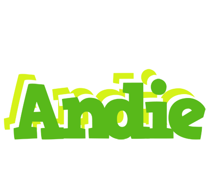 Andie picnic logo