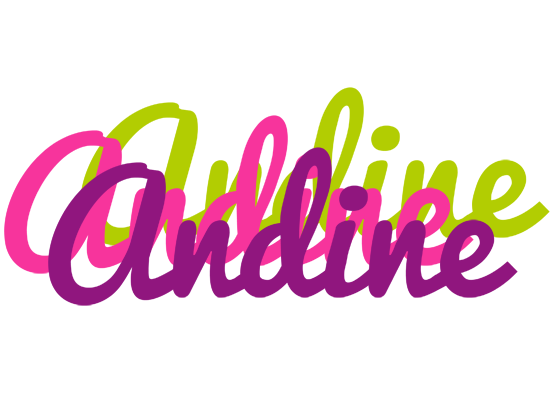 Andine flowers logo