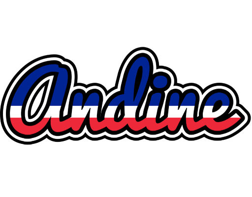 Andine france logo
