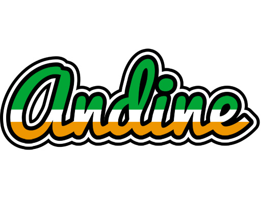Andine ireland logo