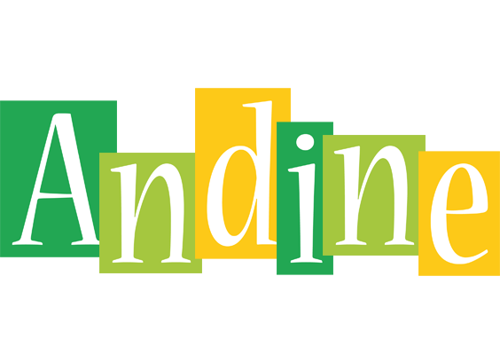 Andine lemonade logo
