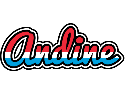 Andine norway logo