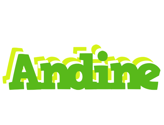 Andine picnic logo